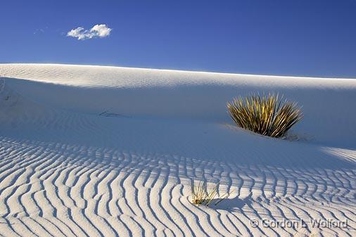 White Sands_32024.jpg - Photographed at the White Sands National Monument near Alamogordo, New Mexico, USA.
